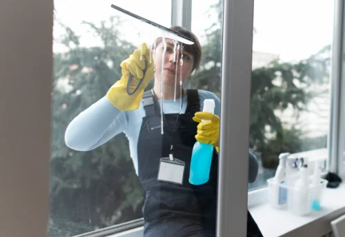 Nettoyage de vitres intérieures et extérieures à Saint-Maurice-le-Vieil